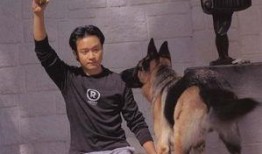 娱乐圈爆料流浪狗是谁呀,流浪狗身份揭秘，竟是神秘明星！